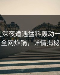 神秘人在深夜遭遇猛料轰动一时，17c全网炸锅，详情揭秘