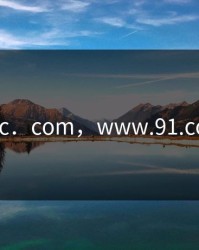 17c．com，www.91.com