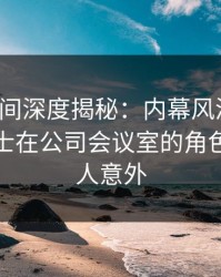 秘语空间深度揭秘：内幕风波背后，业内人士在公司会议室的角色彻底令人意外