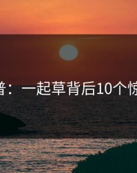 17c科普：一起草背后10个惊人真相