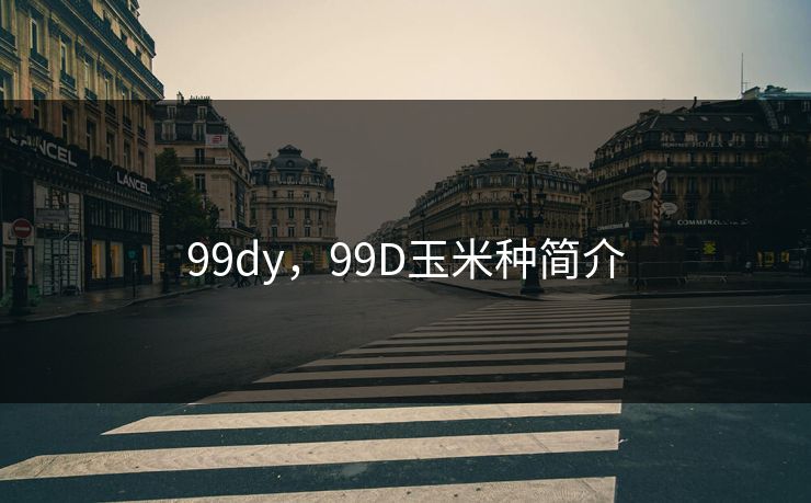 99dy，99D玉米种简介